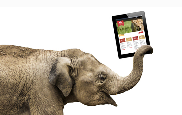 Holt’s Minerbox Interactive Launches Caldwell Zoo Website