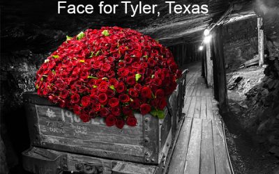 Roses in the Mine