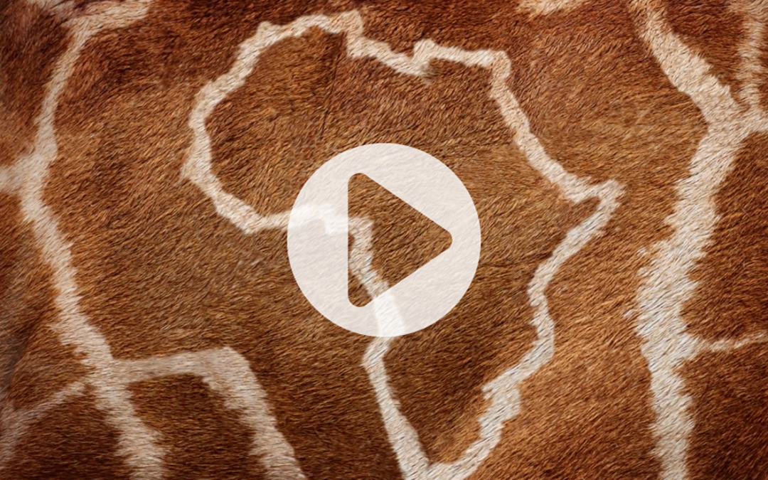African Overlook Commercial