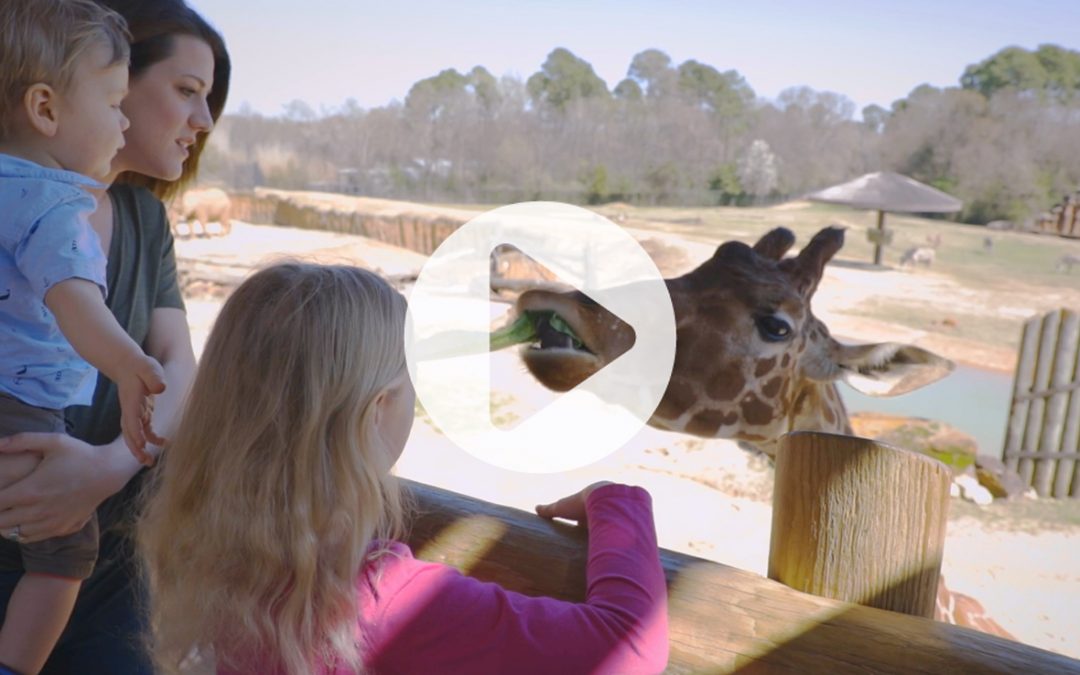 Caldwell Zoo Hunger Commercial