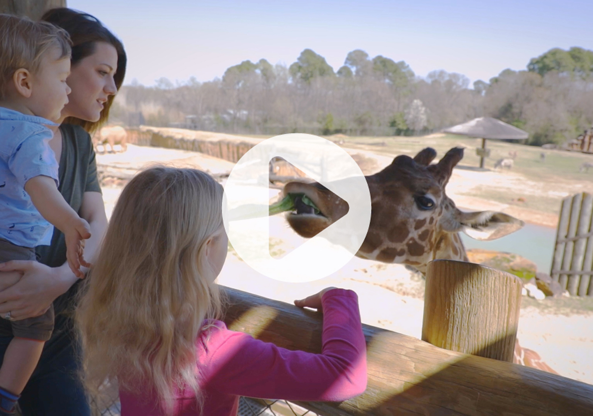 Caldwell Zoo Hunger Commercial ES Holt Companies